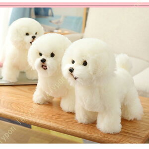  ʂ A AȃrVt[[ 킢  ̂ʂ l` H|i Ck  NX}X q NX}Xv[g