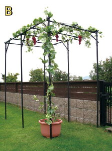 p[S ʕI Zbg 120cm s180cm 180cm I I K[f K[fjO I A[` | LECI |I Ԃǂ  ԂǂI