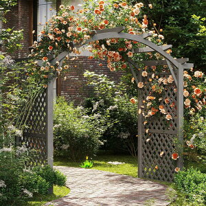 Q[gtؐK[fA[`AؐK[fgXA|K[fA[`A[o[ANC~OA͐AX^hp뉮O (Color : White)