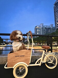 ybgJ[g ]Ԑڑ ̎Up L̂op ^p ybgoM[ ^ Lp gݗĕsvEił͂