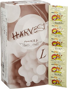 ƖpRh[ n[xXgVA[LTCYiCȃhj@144iSj