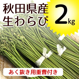 秋田県産 わらび秋田県産 わらび2kg 山菜5代産地 秋田 朝どれ 重曹つき