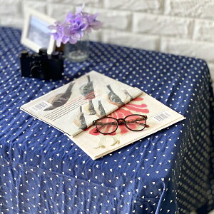 t[NX gC Xeb`lCr[ Ch100 xbhJo[ \t@[Jo[ VO }`NX J[e Ԑ؂ u[ hbg 150cm×225cm km030