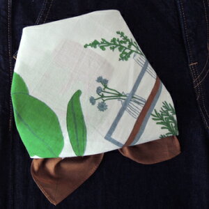 o_i 唻  k ٓ  Jg[ A vgt[ Ch Rbg100% uE  BR XJ[t nJ` nhubNvg Mtg v[g fB[