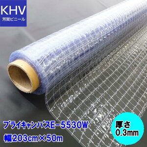 y@llzvCLoXE-5530W ό 0.3mm×203cm×50m=1