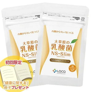 ���N�A �呐���̓��_�� NS-Slim 36�J�v�Z�� 2�܃Z�b�g �y�l�R�|�X�����E����s�z