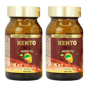 KIRA LABO v~A KENTO 4000FU 120 2{Zbg