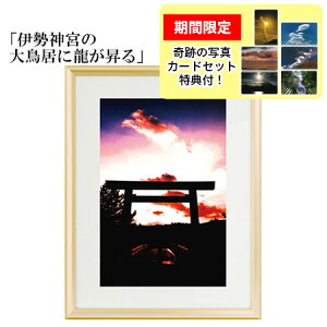 H Ղ̎ʐ^ uɐ_{̑咹ɗvyƖPZiJ[hZbgTtIz