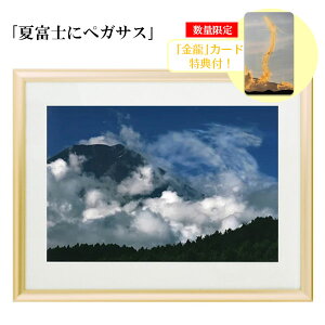 H Ղ̎ʐ^ uĕxmɃyKTXvyJ[hTtIz