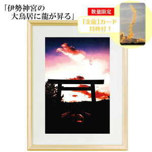 H Ղ̎ʐ^ uɐ_{̑咹ɗvyJ[hTtIz