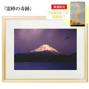 Ղ̎ʐ^ H ůՁvyJ[hTtIz