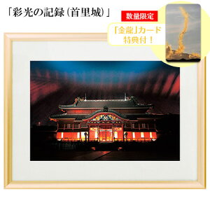 H Ղ̎ʐ^ uʌ̋L^(񗢏)vyJ[hTtIz