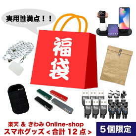 福袋 2024 豪華 お徳 6in1ワイヤレス充電器 マグネット式充電ケーブル 折り畳み式 スマホスタンダード スマホショルダー ノンストップマット 男 キッズ レディース メンズ 初売 セット 便利 急速充電 スマホ