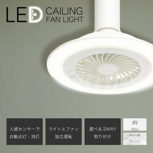�V�[�����O�t�@�� �T�[�L�����C�g ���K �Ɩ� LED LED���C�gE26 �V�� �t�@���t�� ���^ ��@ �l���Z���T�[ �����R�� �g�C�� �L�b�`�� ���ʏ� ���� �Q�� ���� �m�� �a�� �}���V���� �����|�� �ȃG