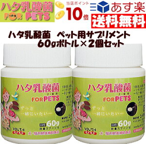 犬 サプリメント 乳酸菌の人気商品 通販 価格比較 価格 Com