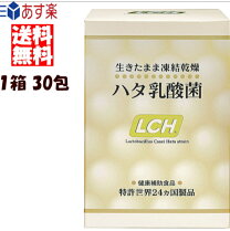 楽天市場】ハタ乳酸菌 lchの通販 