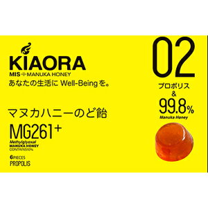 }kJnj[  LfB v|X MIS }kJnj[̂ǈ KIAORA(LI) 02 MG261+ v|X 6