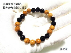 zA₩Ȑɖ߂EKEE]uXbgEygt@ChEbhE]؁p[Xg[아(아)