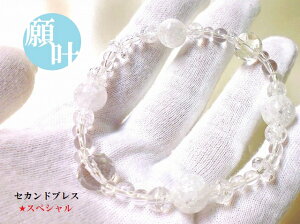 XyVp[UPʁɂZJhuXuXbgp[Xg[아(아)