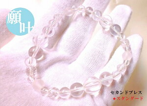 X^_[hp[UPʁɂZJhuXuXbgp[Xg[아(아)