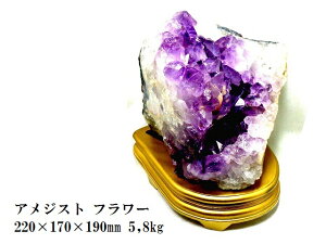 ɐE^UPEoEƉ^UPE]AEǂ񂹂遚L聚΁AWXgNX^[t[AWXg|Cgp[Xg[아(아)