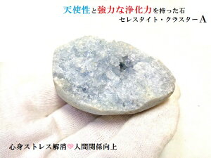 ZX^CglԊ֌WE_E~ES̃T|[gEVEEvw~E~EguVg̐΁΁A|Cgp[Xg[아(아)