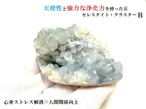 ZX^CglԊ֌WE_E~ES̃T|[gEVEEvw~E~EguVg̐΁΁܂B|Cgp[Xg[아(