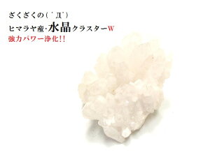W򉻁EJ^E^EEEd΁q}YNX^[|Cgp[Xg[아(아)