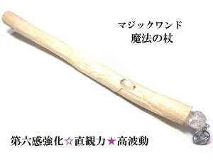 ZEZJԁEϗ́EgEcLƃ`XEГ[Xg[@Ep@̏񁚖ؐEEbh}WbNhq[O}WbNhp[X