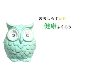 健康を呼ぶ・苦労なし・苦労しらず★アベンチュリン★幸福を呼ぶ★ふくろう/フクロウ★開運招福★風水★縁起物★★風水★パワーストーン★護符(霊符)