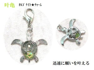 vɊ肢遚TyhbhISiCg̍`[EtbNTE߁EJp[Xg[아(아)