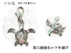 cL^UPEZcLT[Xg[ISiCg̍`[EtbNTE߁EJp[Xg[아(아)