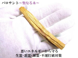 EE׋CהOEEGEEKĂԁEs^ŔjEGlM[g遚palosantEpTg1{p[Xg[아(아)(*ée)q