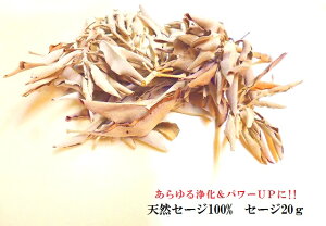 VR100%Z[W}tE[tՂ20g򉻁Z[W^CUPE쁚׋CהOp[Xg[아(아)