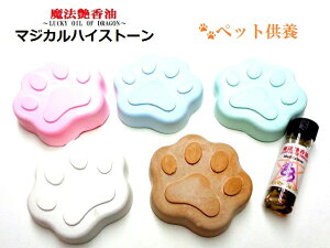 ybg̋{pIׂ5FEAWXg^CUP}WJXg[}WJnCXg[ՁXs`AIC@̃IC@p[Xg[