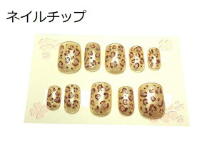 lC`bvWFdグt܁E܁qEEuEnt[TCYlC`bvK