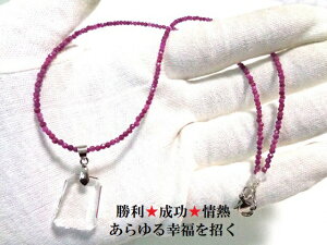 KEƐE^̔WEM߂ÉEJX}E̟ÉEMEr[Eq}lbNXXeXp[Xg[아(