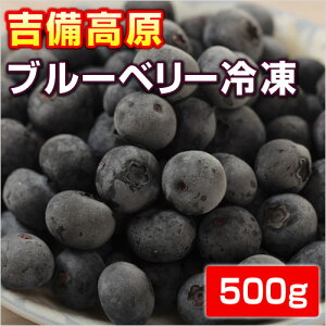 gu[x[@500g@ yⓀzy̏iƓsz