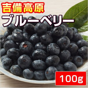 ブルーベリー 100g フルーツの人気商品 通販 価格比較 価格 Com