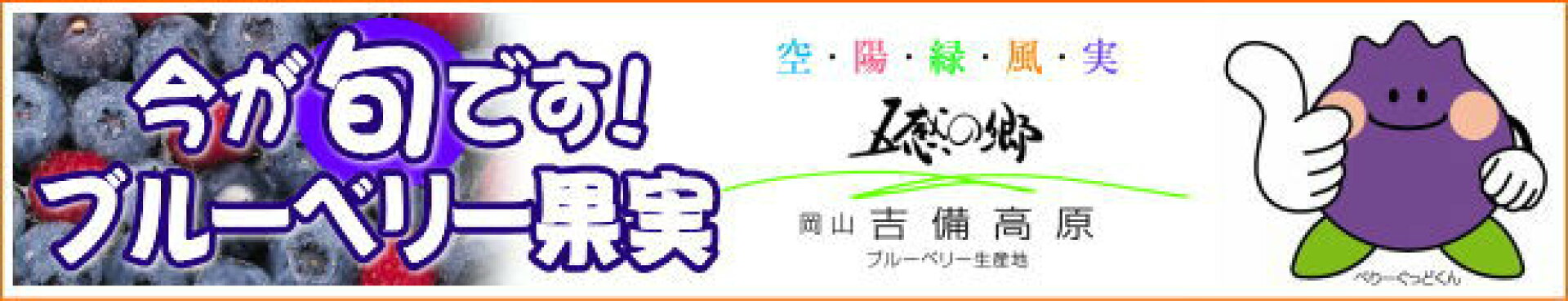 【岡山産】吉備高原のブルーベリー