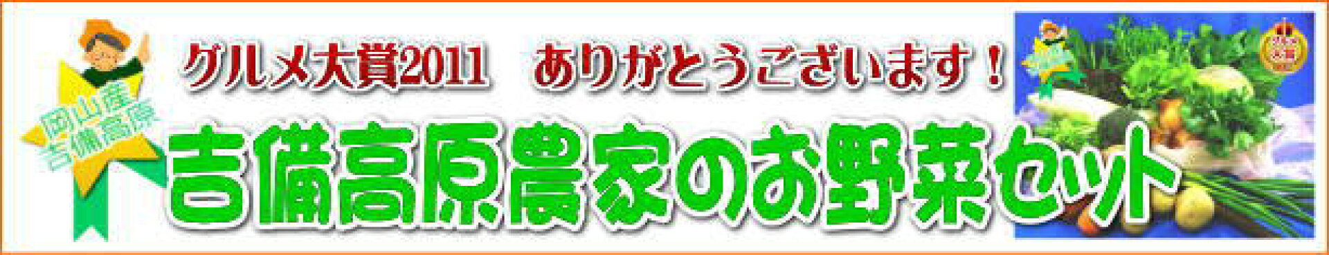 吉備高原農家のお野菜セット15品【送料無料】3000円