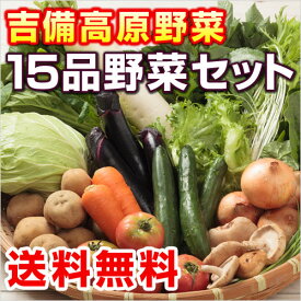 【早い者勝ち！数量限定！！早期受付】【送料無料】岡山 吉備高原農家の野菜大盛り15品野菜セット税込 3580円