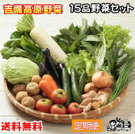 【定期便】【お好みのペースで配送】【送料無料】岡山 吉備高原農家の野菜大盛り15品野菜セット税込 3980…