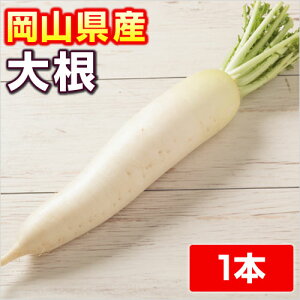 i摜