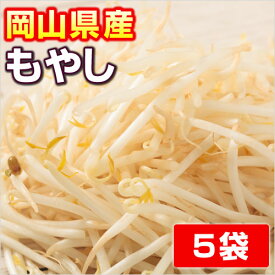 【岡山産】 もやし ●　5　P　●
