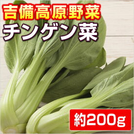 【岡山県産】　チンゲン菜・青梗菜