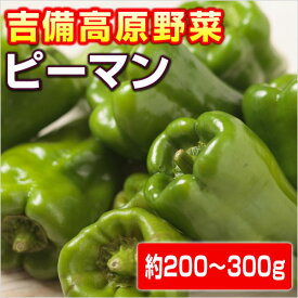 【岡山県産】吉備高原のピーマン　150g〜200g