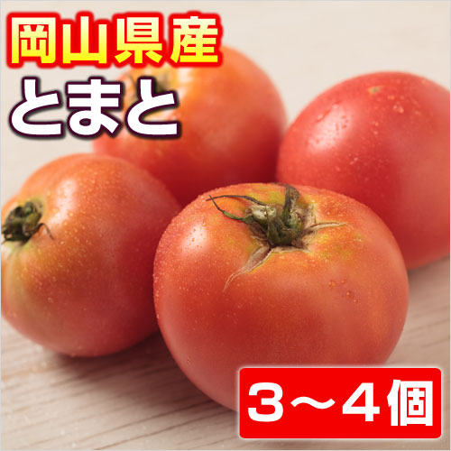 吉備高原の安全 安心 美味しい野菜 春夏新作 品揃え豊富で 岡山県産 とまと トマト