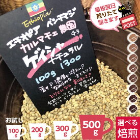 ★ ゲイシャ ナチュラル エチオピア カルマチェ農園 ★ 新入荷! 煎りたて 香り コク 美味しい コーヒー +楽天 オーダー 自家焙煎珈琲 豆 高級 コーヒー豆 自家焙煎 浅煎り 深煎り 浅煎 珈琲豆 レギュラー (豆) レア オーダー焙煎 お試し 100g 200g 300g お得 500g