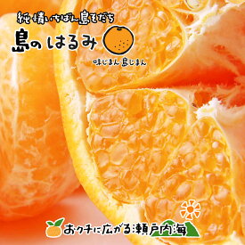 希望の島 はるみ 8kg 家庭用 サイズ込 愛媛 中島産 みかん 柑橘